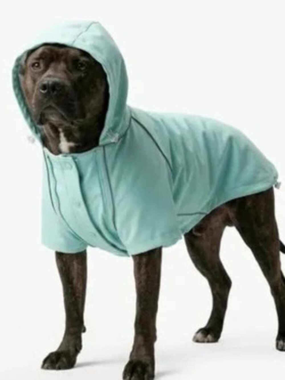 Storm pro raincoat